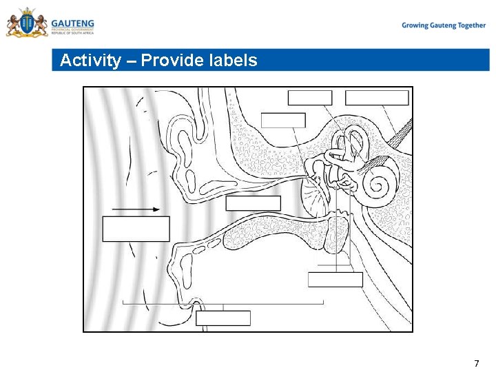 Activity – Provide labels 7 