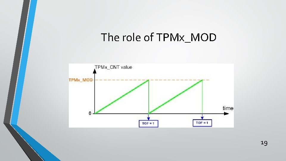 The role of TPMx_MOD 19 
