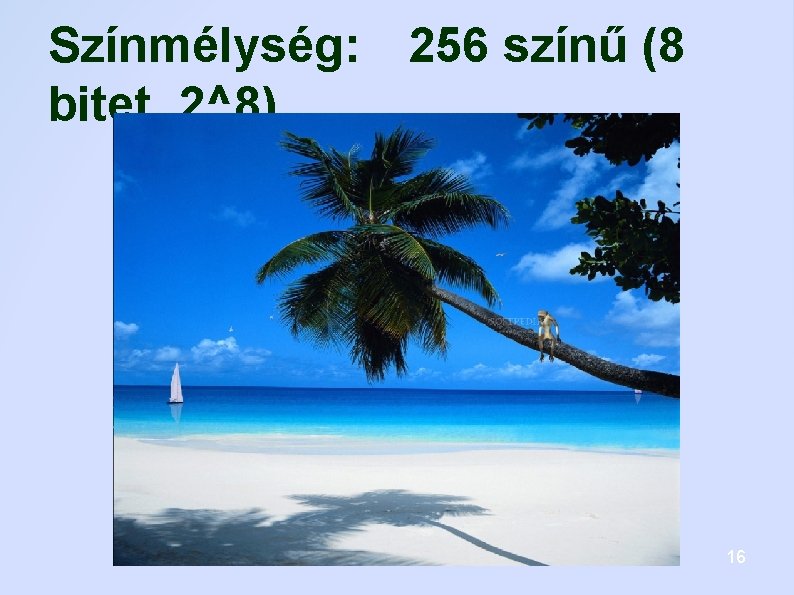 Színmélység: 256 színű (8 bitet, 2^8) 16 