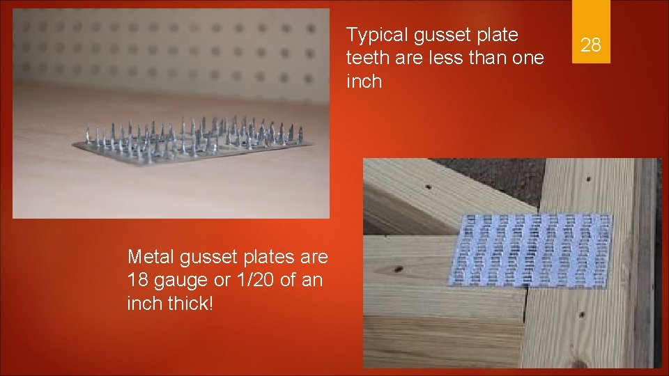 Typical gusset plate teeth are less than one inch Metal gusset plates are 18