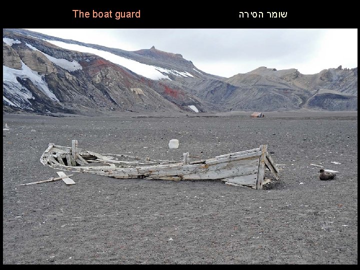 The boat guard שומר הסירה 