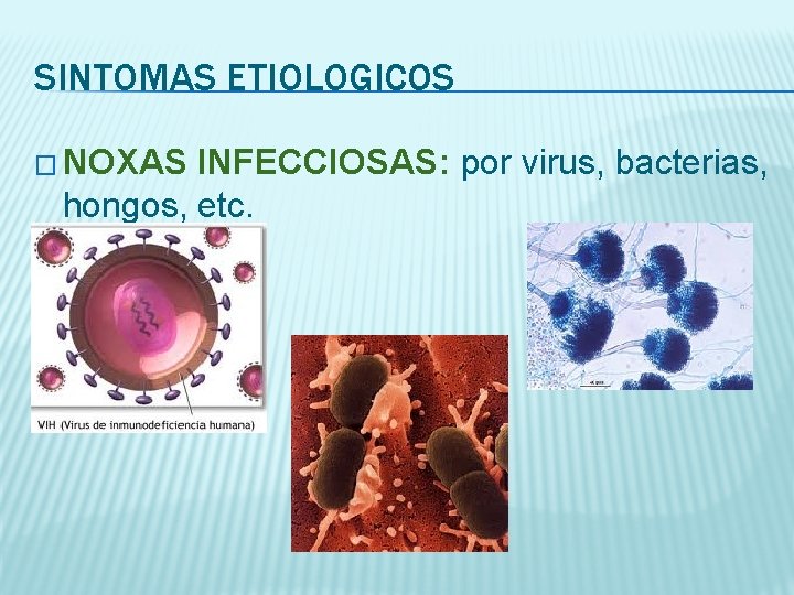 SINTOMAS ETIOLOGICOS � NOXAS INFECCIOSAS: por virus, bacterias, hongos, etc. 