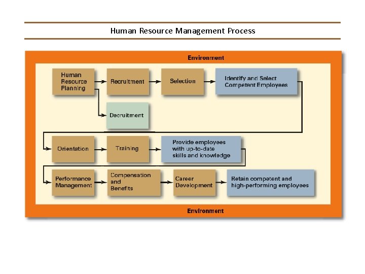 Human Resource Management Process 