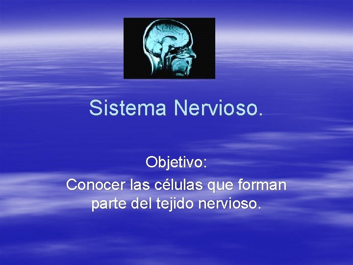 Sistema Nervioso. Objetivo: Conocer las células que forman parte del tejido nervioso. 