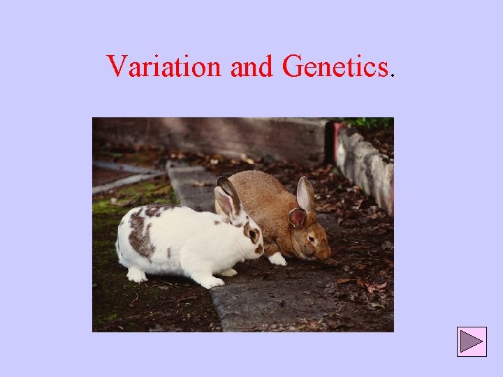 Variation and Genetics. 