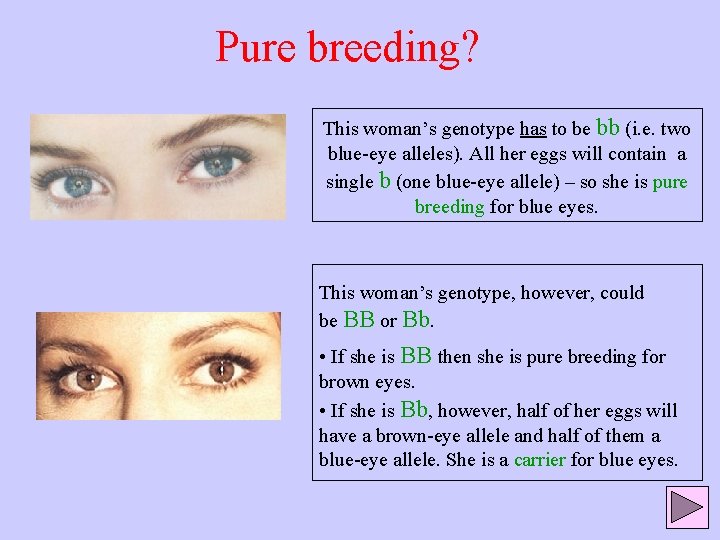 Pure breeding? This woman’s genotype has to be bb (i. e. two blue-eye alleles).