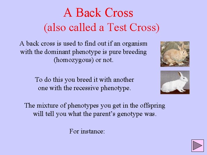 A Back Cross (also called a Test Cross) A back cross is used to