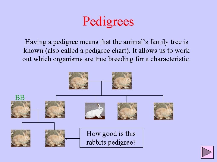 Pedigrees Having a pedigree means that the animal’s family tree is known (also called