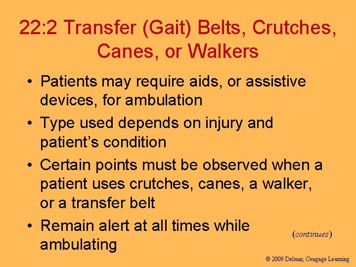 22: 2 Transfer (Gait) Belts, Crutches, Canes, or Walkers • Patients may require aids,
