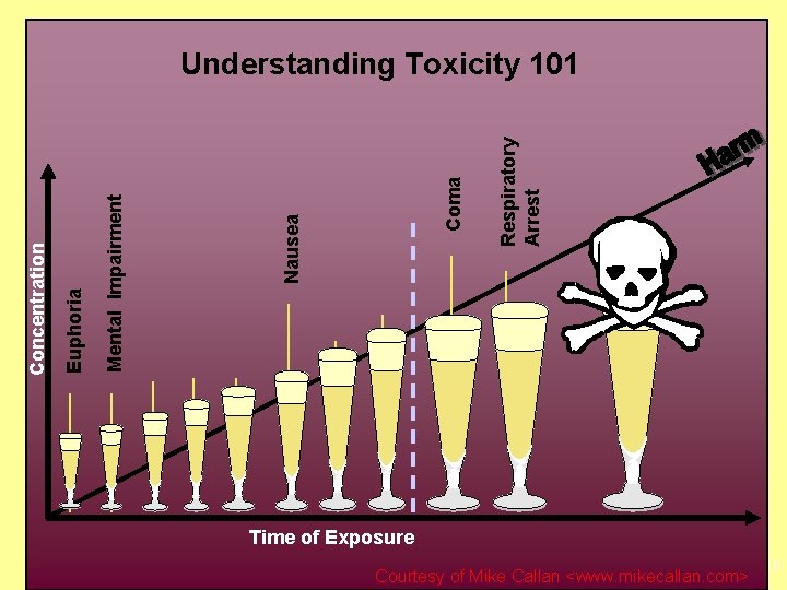 Respiratory Arrest Coma Nausea Mental Impairment Euphoria Concentration Understanding Toxicity 101 Time of Exposure