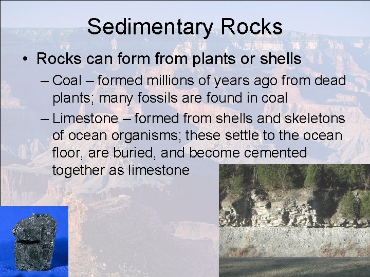 Sedimentary Rocks • Rocks can form from plants or shells – Coal – formed