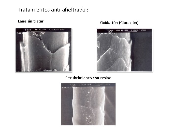 Tratamientos anti-afieltrado : Lana sin tratar Oxidación (Cloración) Recubrimiento con resina 