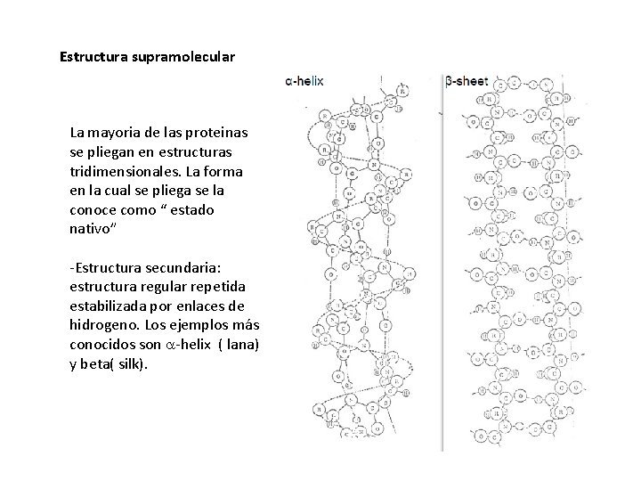 Estructura supramolecular La mayoria de las proteinas se pliegan en estructuras tridimensionales. La forma