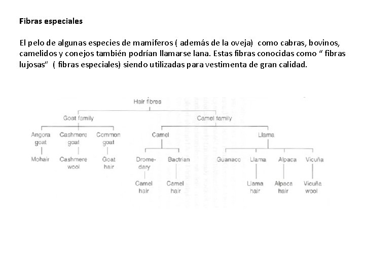 Fibras especiales El pelo de algunas especies de mamiferos ( además de la oveja)