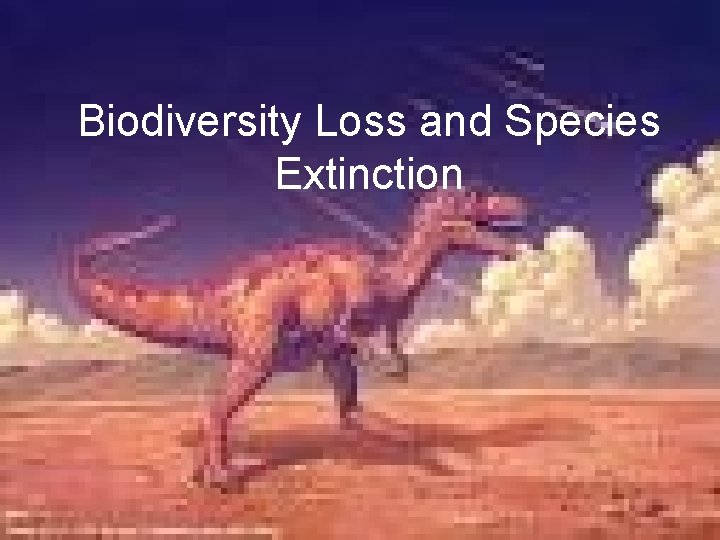Biodiversity Loss and Species Extinction 
