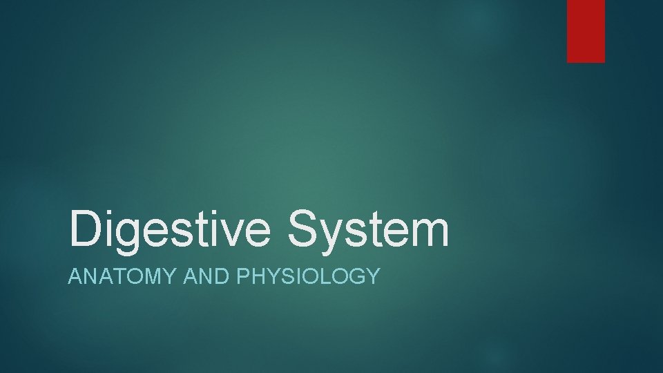 Digestive System ANATOMY AND PHYSIOLOGY 