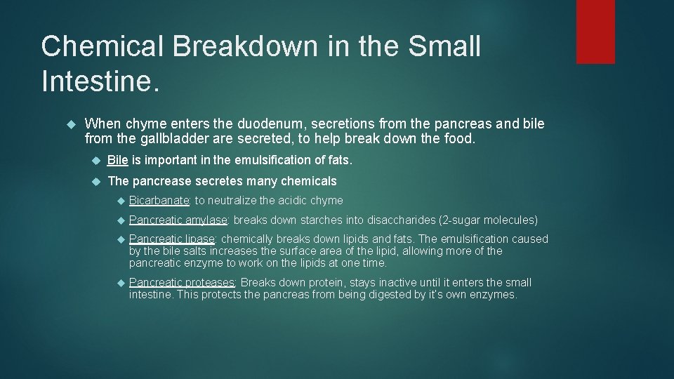 Chemical Breakdown in the Small Intestine. When chyme enters the duodenum, secretions from the