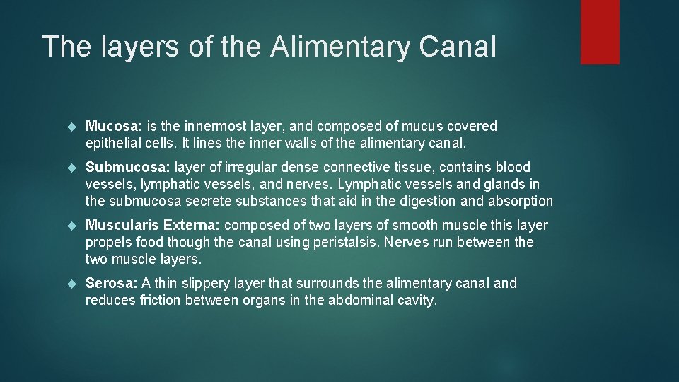 The layers of the Alimentary Canal Mucosa: is the innermost layer, and composed of