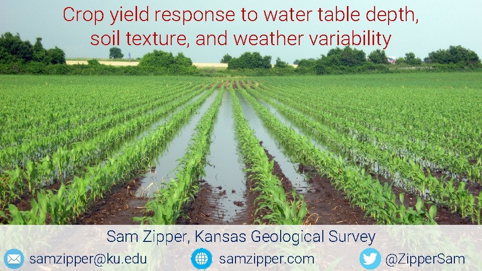 Crop yield response to water table depth, soil texture, and weather variability Sam Zipper,