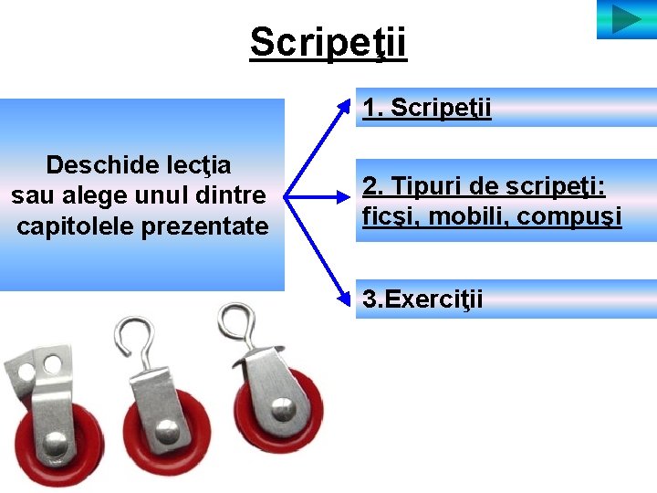 Scripeţii 1. Scripeţii Deschide lecţia sau alege unul dintre capitolele prezentate 2. Tipuri de