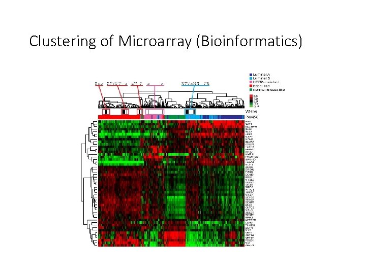 Clustering of Microarray (Bioinformatics) 