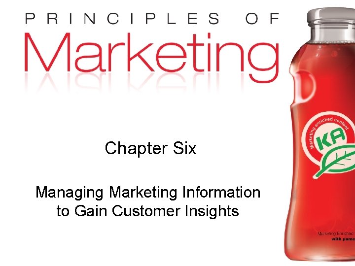 Chapter Six Managing Marketing Information to Gain Customer Insights Copyright © 2009 Pearson Education,