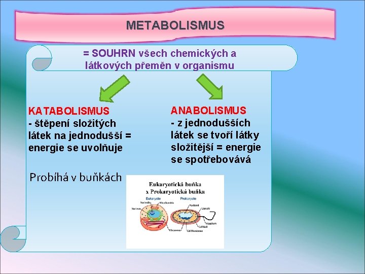 METABOLISMUS = SOUHRN všech chemických a látkových přeměn v organismu KATABOLISMUS - štěpení složitých