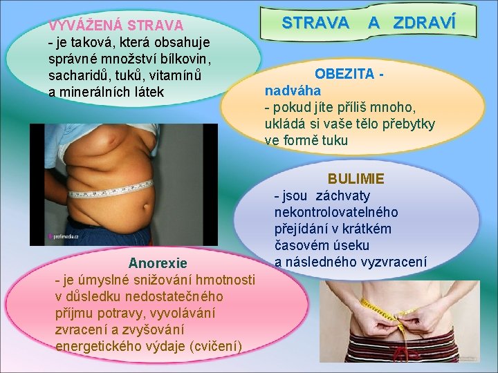 VYVÁŽENÁ STRAVA - je taková, která obsahuje správné množství bílkovin, sacharidů, tuků, vitamínů a