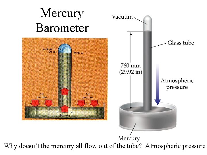 Mercury Barometer Why doesn’t the mercury all flow out of the tube? Atmospheric pressure