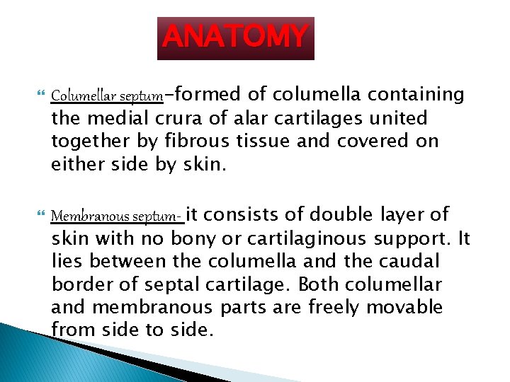 ANATOMY Columellar septum-formed of columella containing the medial crura of alar cartilages united together