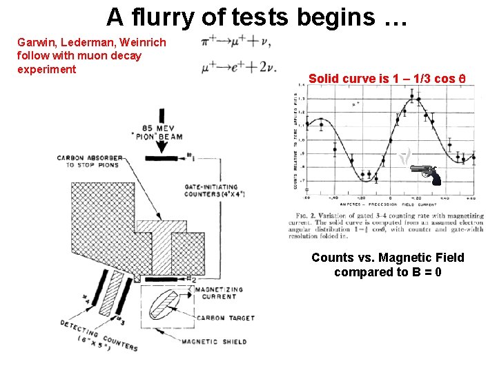 A flurry of tests begins … Garwin, Lederman, Weinrich follow with muon decay experiment