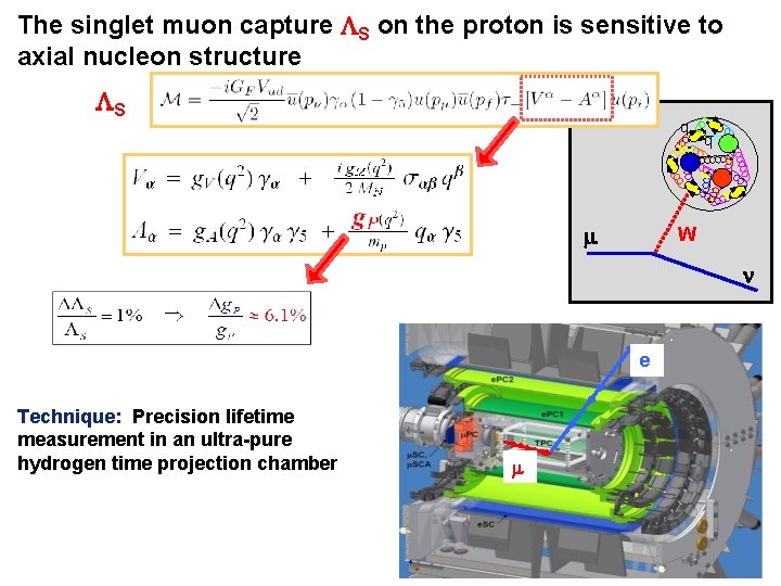 The singlet muon capture LS on the proton is sensitive to axial nucleon structure