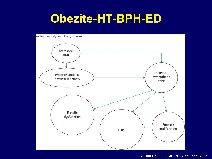 Obezite-HT-BPH-ED Kaplan SA, et al. BJU Int 97: 559 -566, 2005 