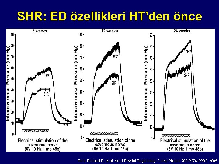 SHR: ED özellikleri HT’den önce Behr-Roussel D, et al. Am J Physiol Regul Integr