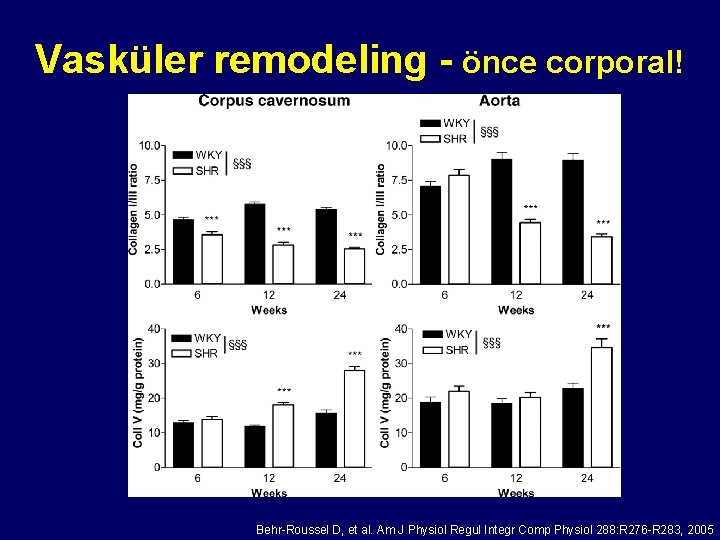 Vasküler remodeling - önce corporal! Behr-Roussel D, et al. Am J Physiol Regul Integr
