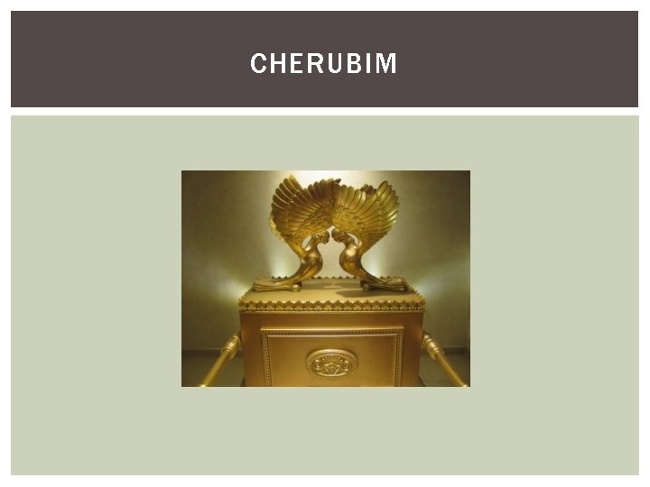 CHERUBIM 