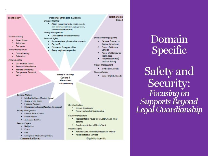 Domain Specific Safety and Security: Focusing on Supports Beyond Legal Guardianship 