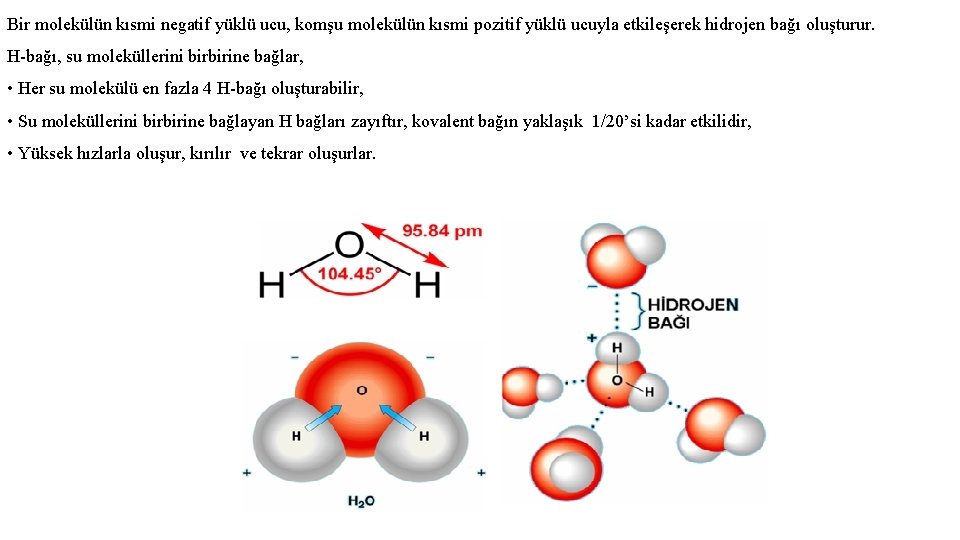 Bir molekülün kısmi negatif yüklü ucu, komşu molekülün kısmi pozitif yüklü ucuyla etkileşerek hidrojen