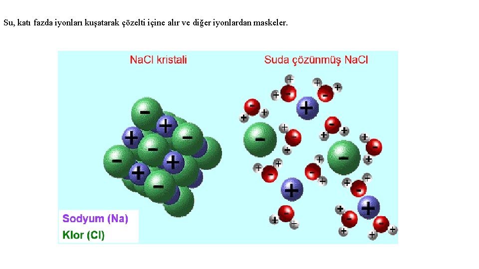 Su, katı fazda iyonları kuşatarak çözelti içine alır ve diğer iyonlardan maskeler. 