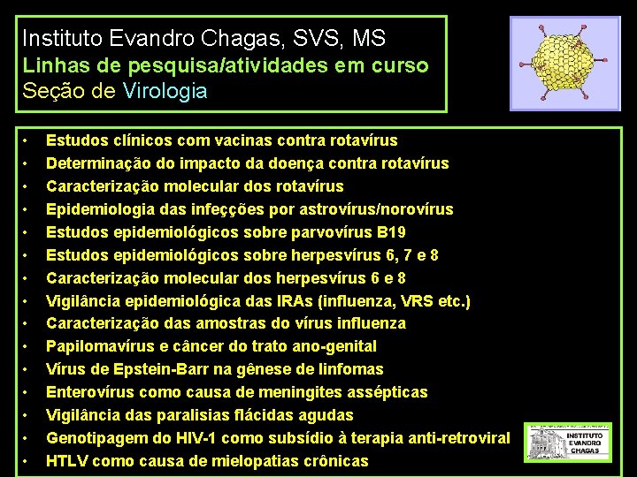 Instituto Evandro Chagas, SVS, MS Linhas de pesquisa/atividades em curso Seção de Virologia •