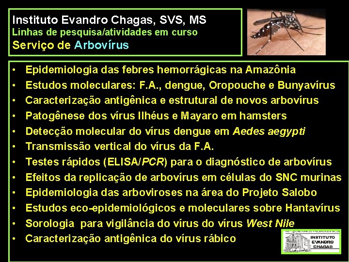 Instituto Evandro Chagas, SVS, MS Linhas de pesquisa/atividades em curso Serviço de Arbovírus •