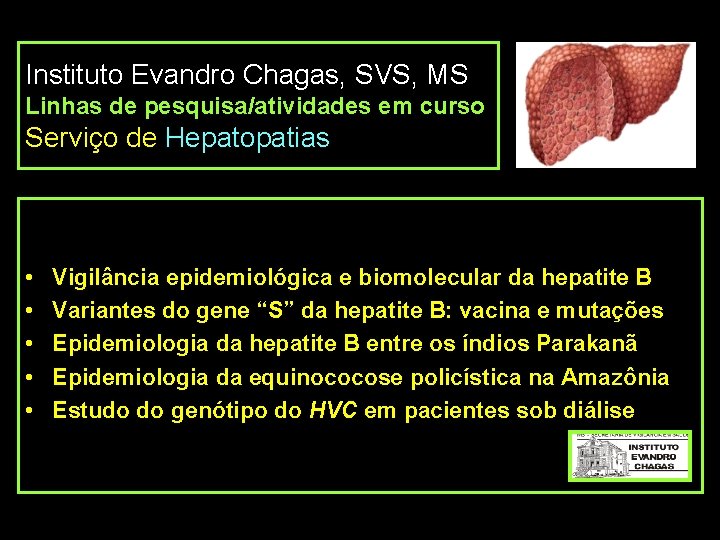 Instituto Evandro Chagas, SVS, MS Linhas de pesquisa/atividades em curso Serviço de Hepatopatias •