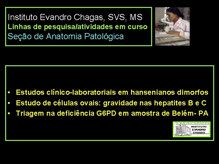 Instituto Evandro Chagas, SVS, MS Linhas de pesquisa/atividades em curso Seção de Anatomia Patológica