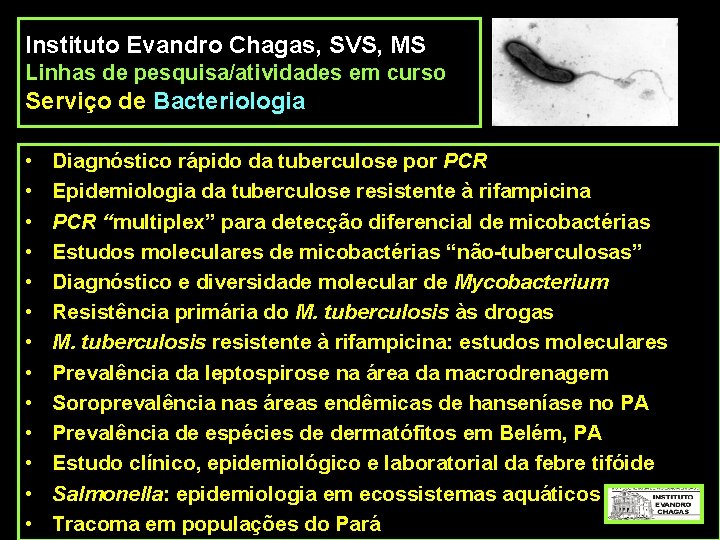 Instituto Evandro Chagas, SVS, MS Linhas de pesquisa/atividades em curso Serviço de Bacteriologia •