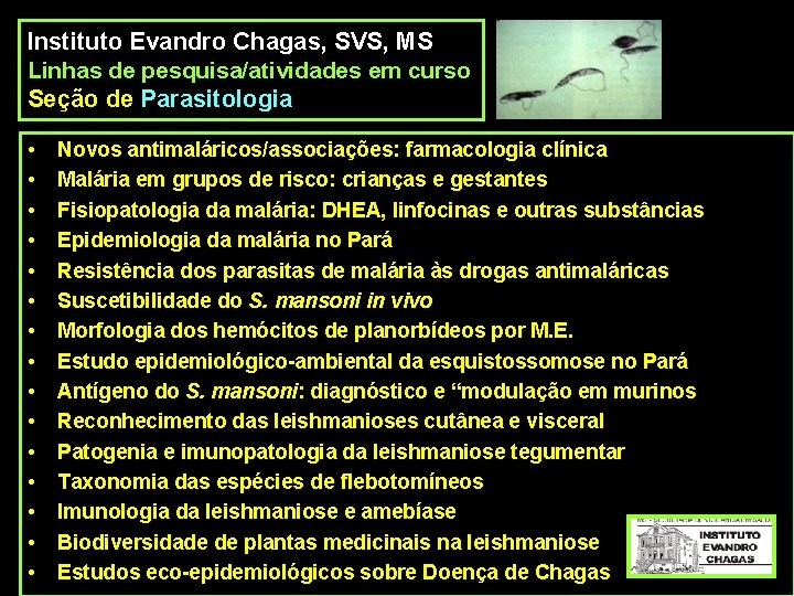 Instituto Evandro Chagas, SVS, MS Linhas de pesquisa/atividades em curso Seção de Parasitologia •