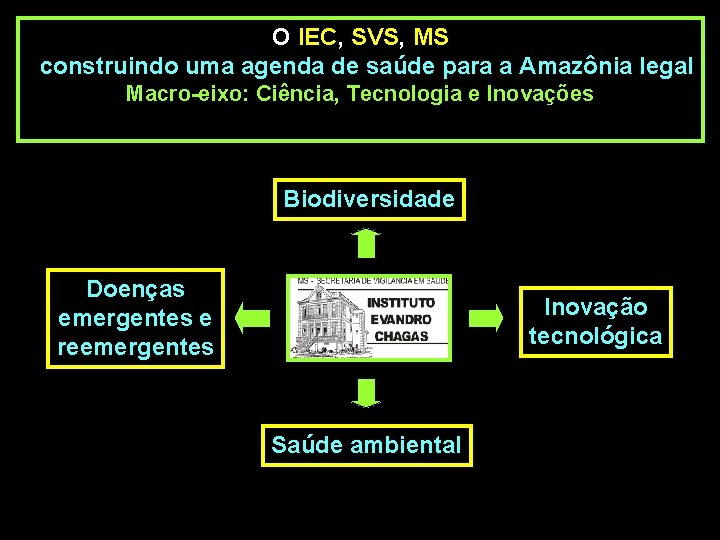 O IEC, SVS, MS construindo uma agenda de saúde para a Amazônia legal Macro-eixo: