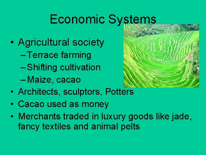 Economic Systems • Agricultural society – Terrace farming – Shifting cultivation – Maize, cacao