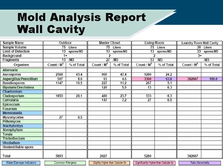 Mold Analysis Report Wall Cavity 