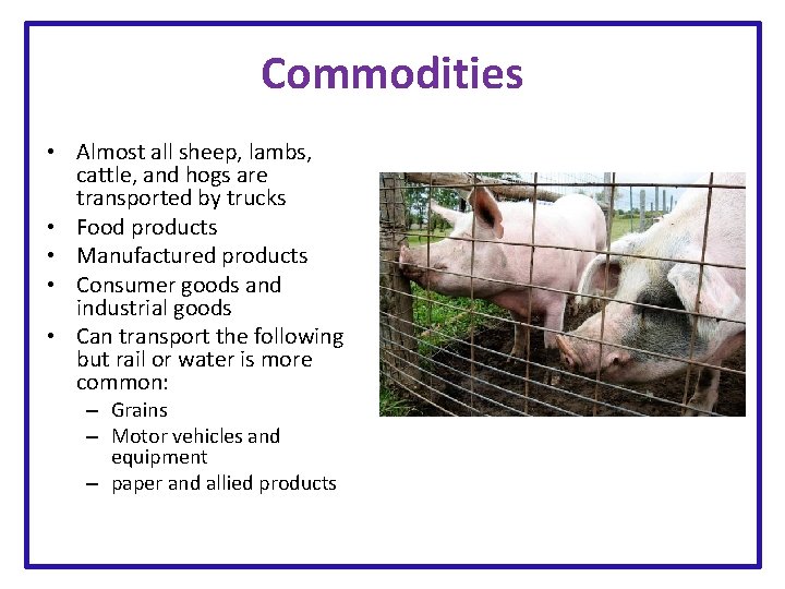 Commodities • Almost all sheep, lambs, cattle, and hogs are transported by trucks •