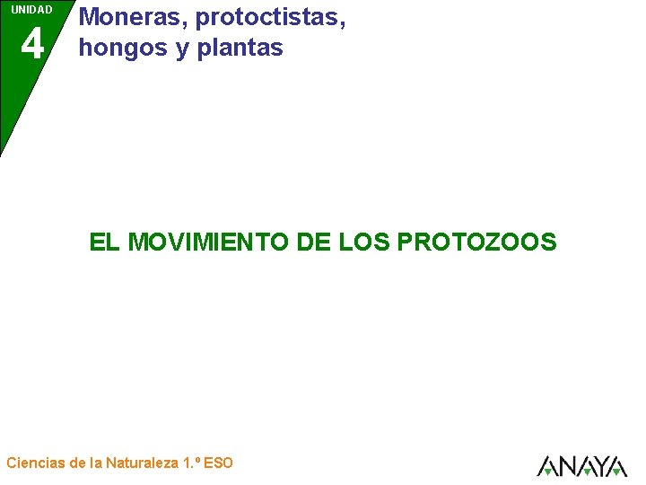 UNIDAD 4 Moneras, protoctistas, hongos y plantas EL MOVIMIENTO DE LOS PROTOZOOS Ciencias de